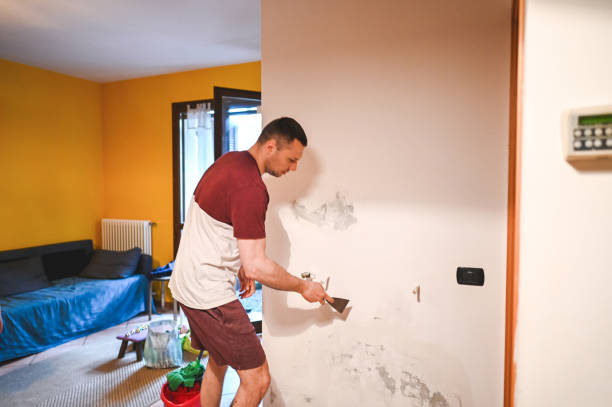Best Office Mold Removal Services  in Maggie Valley, NC