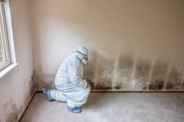 Water Damage Restoration in Maggie Valley, NC